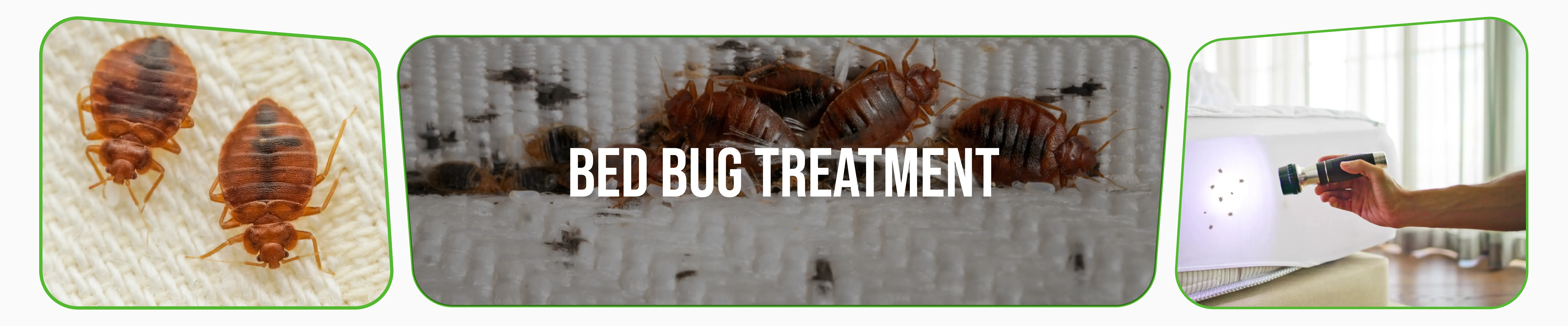 carpet cleaning in brooklyn, carpet cleaning in brooklyn, carpet cleaning brooklyn, carpet cleaners in brooklyn, carpet cleaners in brooklyn, commercial carpet cleaning, commercial carpet cleaning in brooklyn, brooklyn rug cleaners, rug cleaning services in brooklyn, same day carpet cleaning, same day rug cleaning